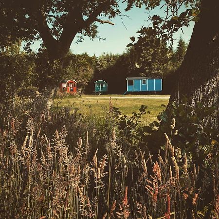 Pipowagens Bij Pannenkoekenrestaurant & Camping De Koppenjan 'Een Uniek Verblijf Met Kinderspeelboerderij' Jubbega-Schurega Екстериор снимка