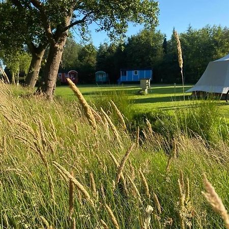 Pipowagens Bij Pannenkoekenrestaurant & Camping De Koppenjan 'Een Uniek Verblijf Met Kinderspeelboerderij' Jubbega-Schurega Екстериор снимка