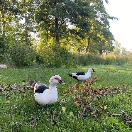 Pipowagens Bij Pannenkoekenrestaurant & Camping De Koppenjan 'Een Uniek Verblijf Met Kinderspeelboerderij' Jubbega-Schurega Екстериор снимка