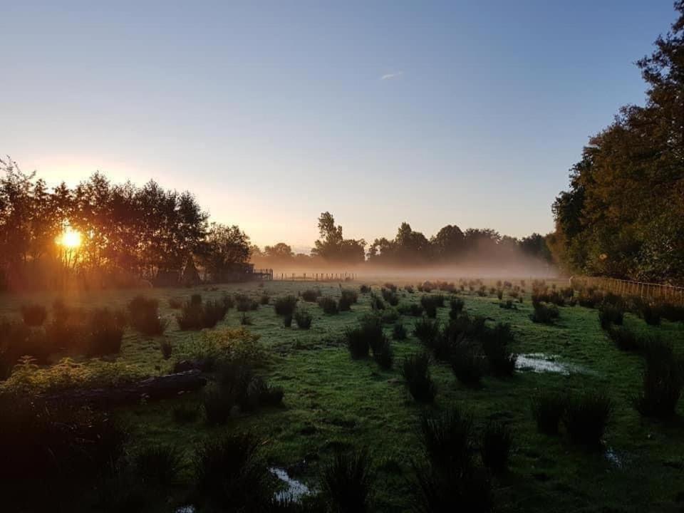 Pipowagens Bij Pannenkoekenrestaurant & Camping De Koppenjan 'Een Uniek Verblijf Met Kinderspeelboerderij' Jubbega-Schurega Екстериор снимка