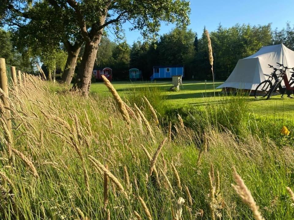 Pipowagens Bij Pannenkoekenrestaurant & Camping De Koppenjan 'Een Uniek Verblijf Met Kinderspeelboerderij' Jubbega-Schurega Екстериор снимка